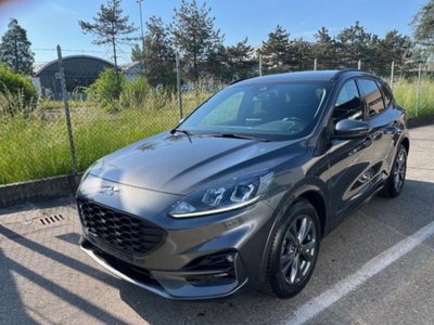 Ford Kuga 2.0 EcoBlue 120 CV aut. 2WD ST-Line X (2)
