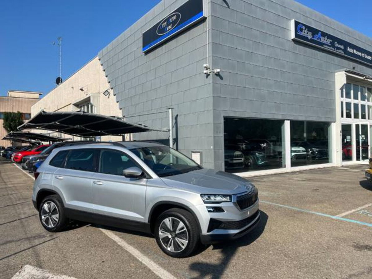 Skoda Karoq 2.0 TDI EVO SCR 115 CV DSG Executive
