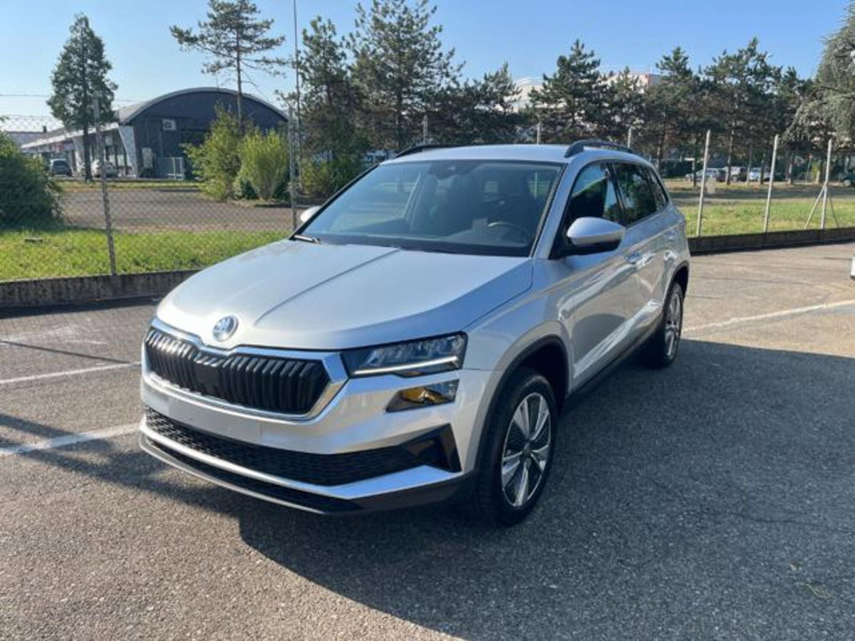 Skoda Karoq 2.0 TDI EVO SCR 115 CV DSG Executive (2)