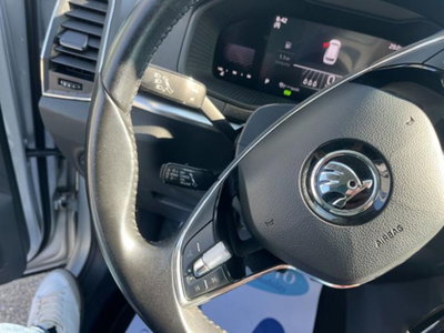 Skoda Karoq 2.0 TDI EVO SCR 115 CV DSG Executive (9)