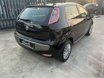 Fiat Punto 1.3 MJT II 75 CV 5 porte Young (3)