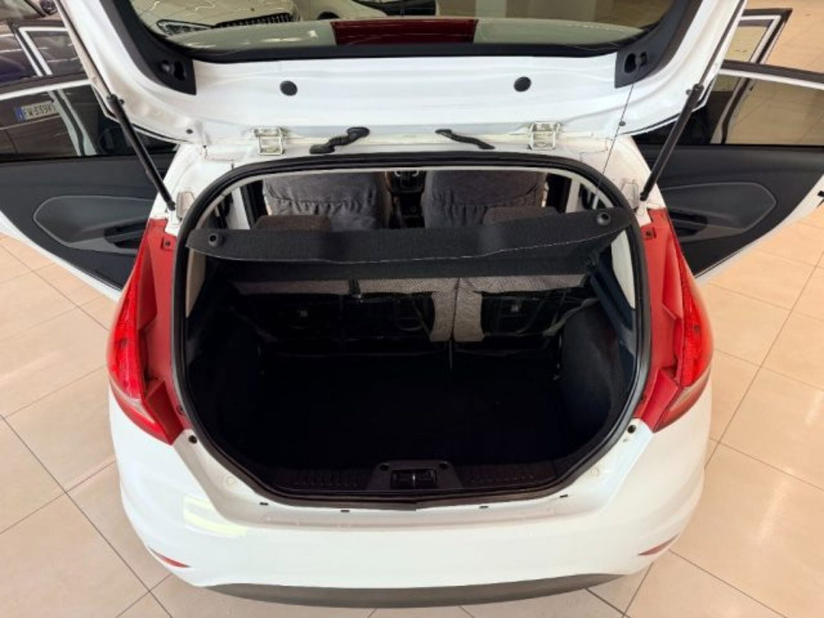 Ford Fiesta 1.4 TDCi 68CV 5 porte Titanium (11)