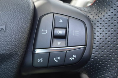 Ford Puma 1.0 EcoBoost Hybrid 125 CV S&S ST-Line Design 2 (14)