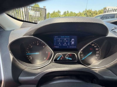 Ford Kuga 2.0 TDCi 163 CV 4WD Titanium DPF (10)