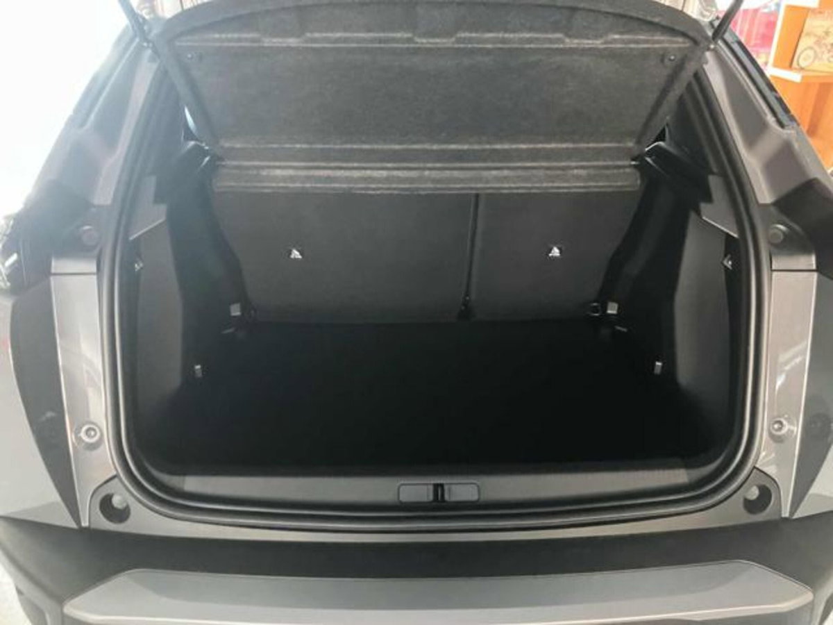 Peugeot 2008 50 kWh Allure (13)