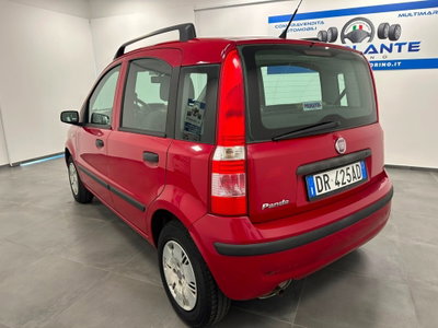 Fiat Panda 1.2 Dynamic (5)