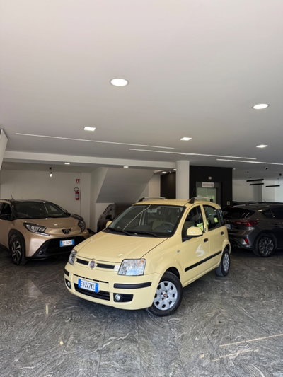 Fiat Panda 1.2 Dynamic usata