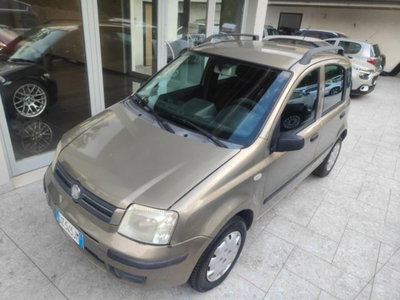 Fiat Panda 1.2 Dynamic usata