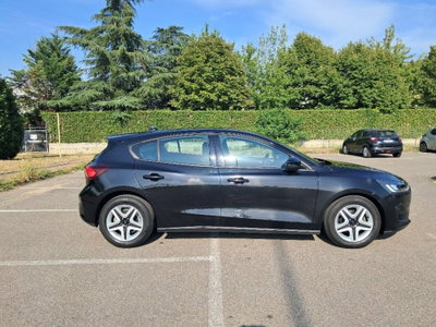 Ford Focus 1.5 EcoBlue 120 CV 5p. Business (5)