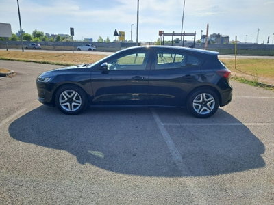 Ford Focus 1.5 EcoBlue 120 CV 5p. Business (6)