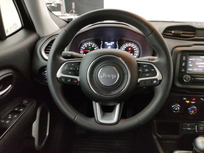 Jeep Renegade 1.0 T3 Longitude (13)