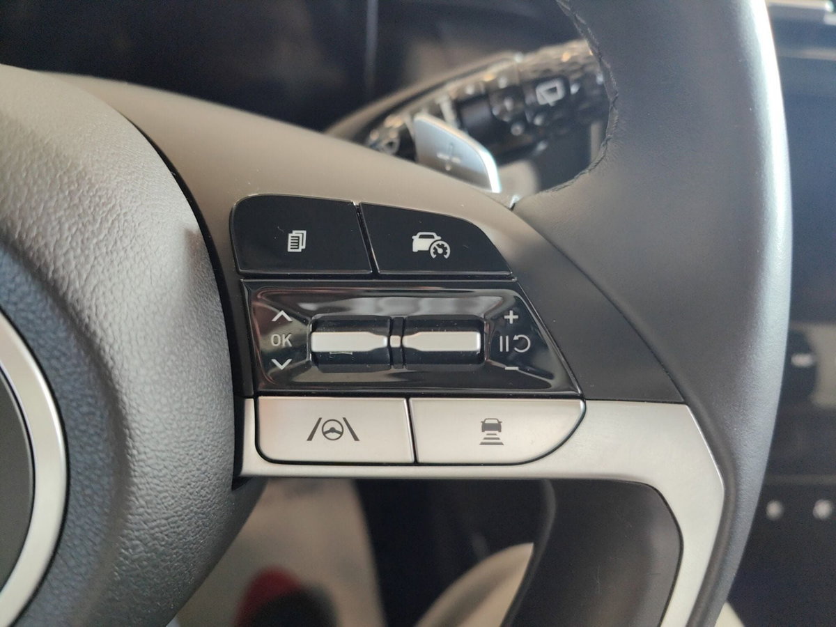 Hyundai Tucson 1.6 phev Exellence 4wd auto (20)
