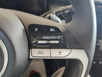 Hyundai Tucson 1.6 phev Exellence 4wd auto (20)