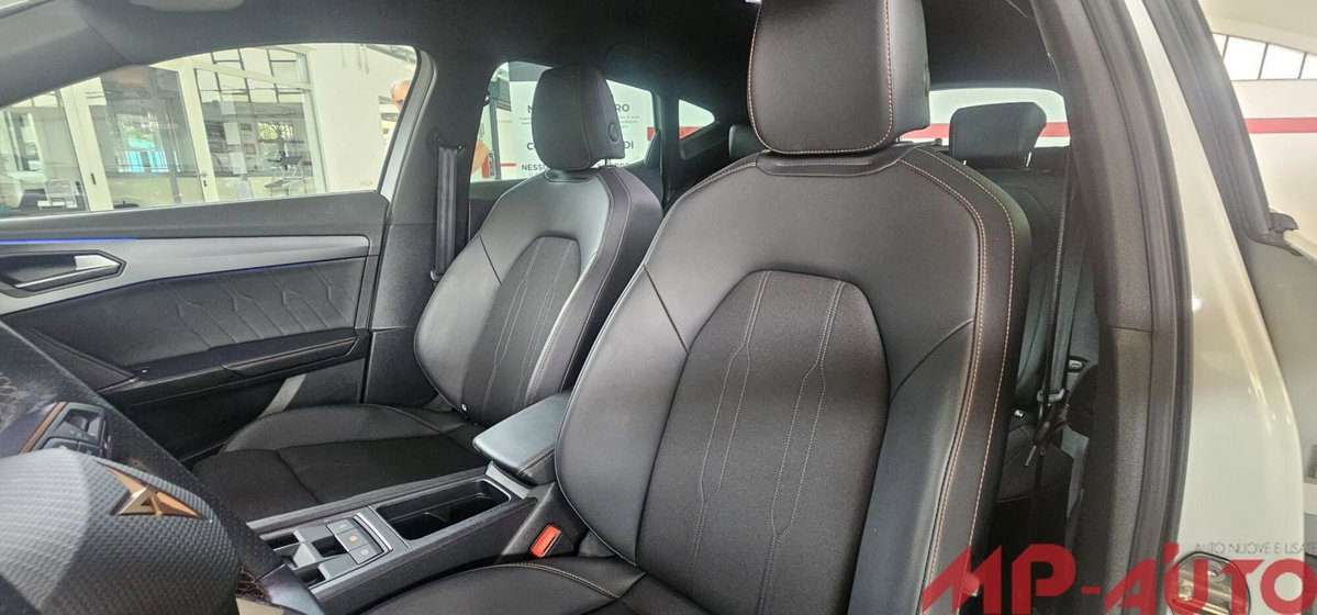 Cupra Formentor Formentor 2.0 TDI (10)