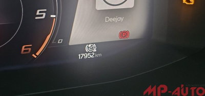 Cupra Formentor Formentor 2.0 TDI (12)