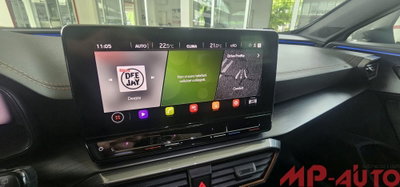 Cupra Formentor Formentor 2.0 TDI (13)
