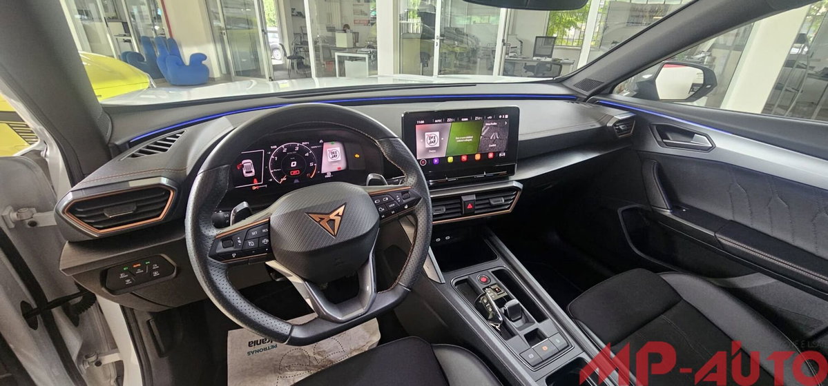 Cupra Formentor Formentor 2.0 TDI (15)