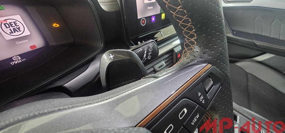 Cupra Formentor Formentor 2.0 TDI (16)