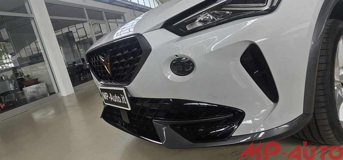Cupra Formentor Formentor 2.0 TDI (4)