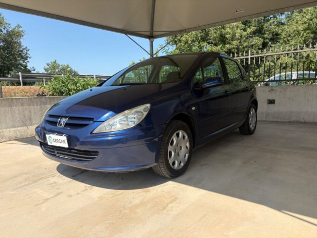 Peugeot 307 16V 5p. XS