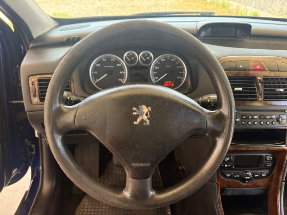 Peugeot 307 16V 5p. XS (10)