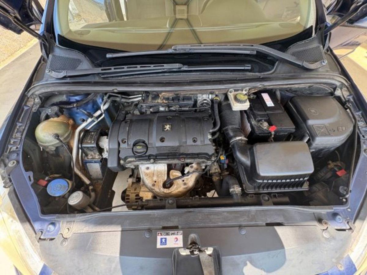 Peugeot 307 16V 5p. XS (19)