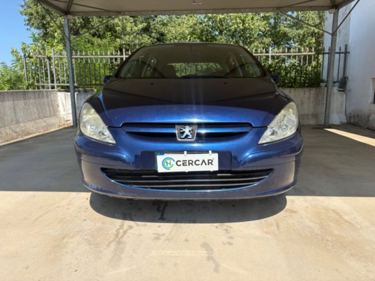 Peugeot 307 16V 5p. XS (2)