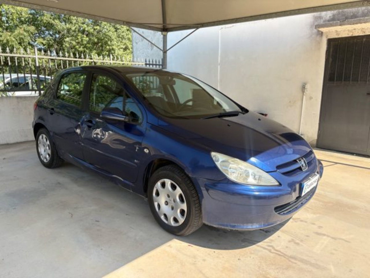 Peugeot 307 16V 5p. XS (3)