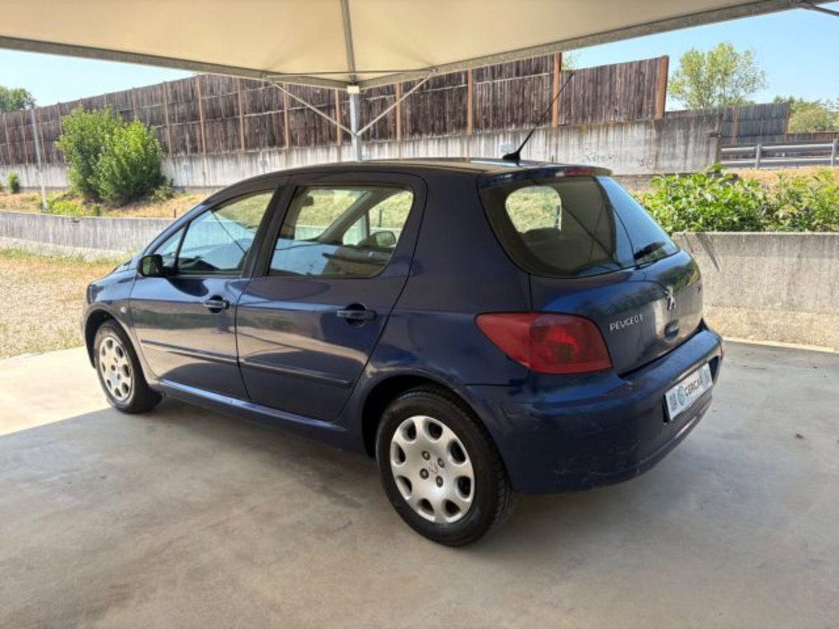 Peugeot 307 16V 5p. XS (4)