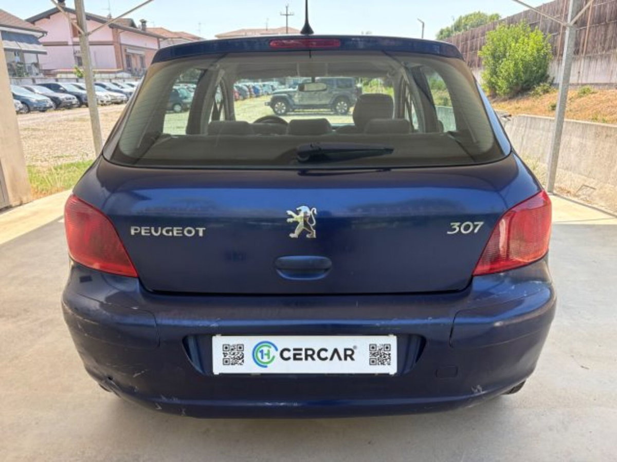 Peugeot 307 16V 5p. XS (5)