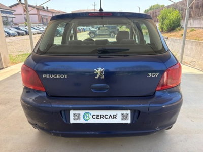 Peugeot 307 16V 5p. XS (5)