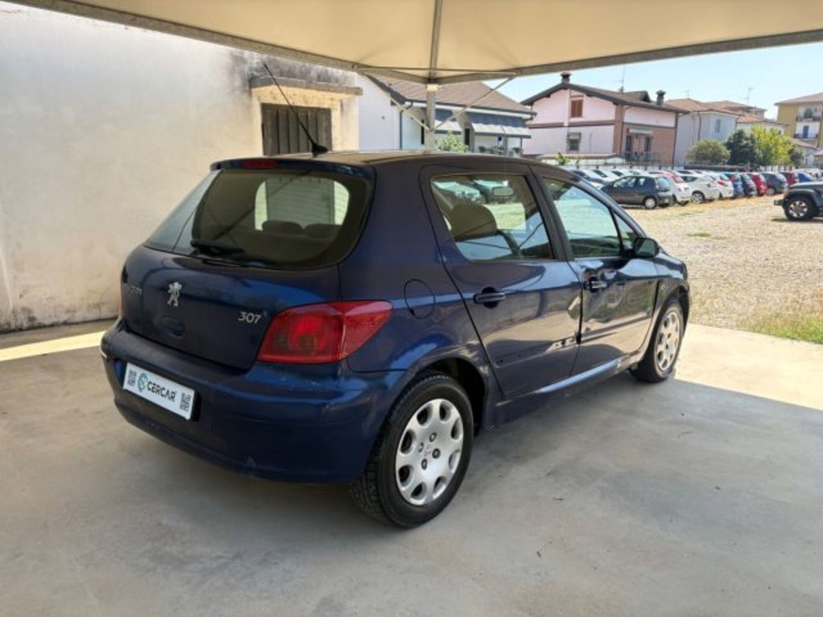 Peugeot 307 16V 5p. XS (6)