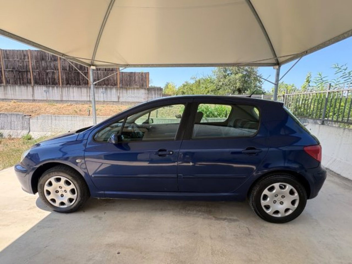 Peugeot 307 16V 5p. XS (7)
