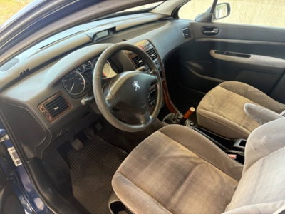 Peugeot 307 16V 5p. XS (8)