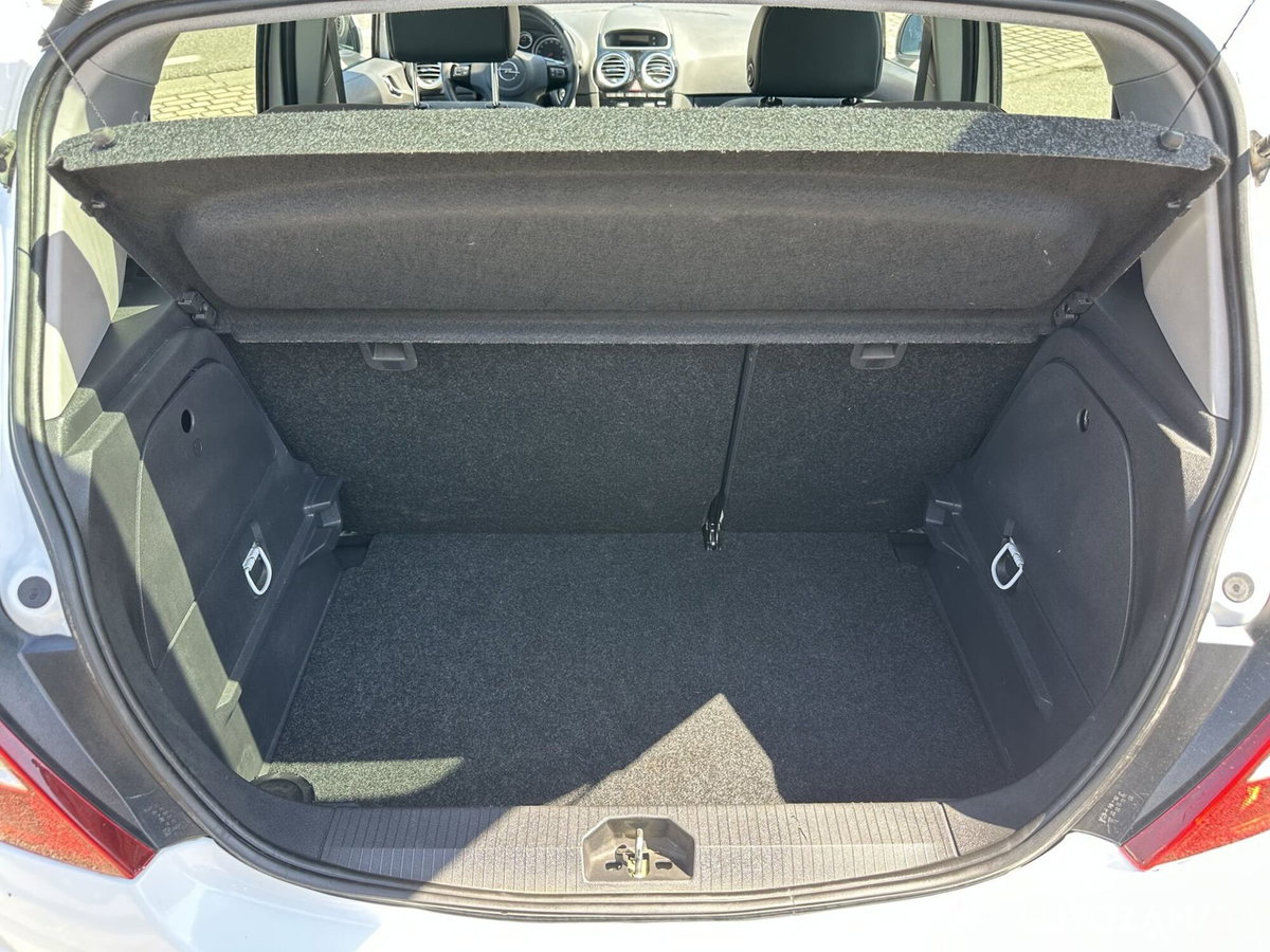 Opel Corsa 1.2 85CV 5 porte GPL-TECH Edition (13)