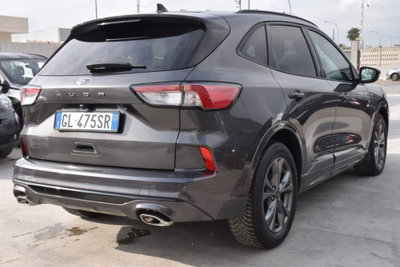 Ford Kuga 1.5 EcoBlue 120 CV 2WD ST-Line (4)