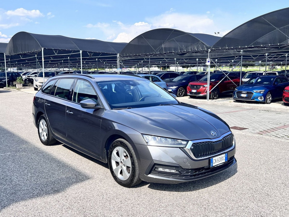 Skoda Octavia Station Wagon 2.0 TDI EVO SCR 150 CV DSG 4x4 Wagon Executive (2)
