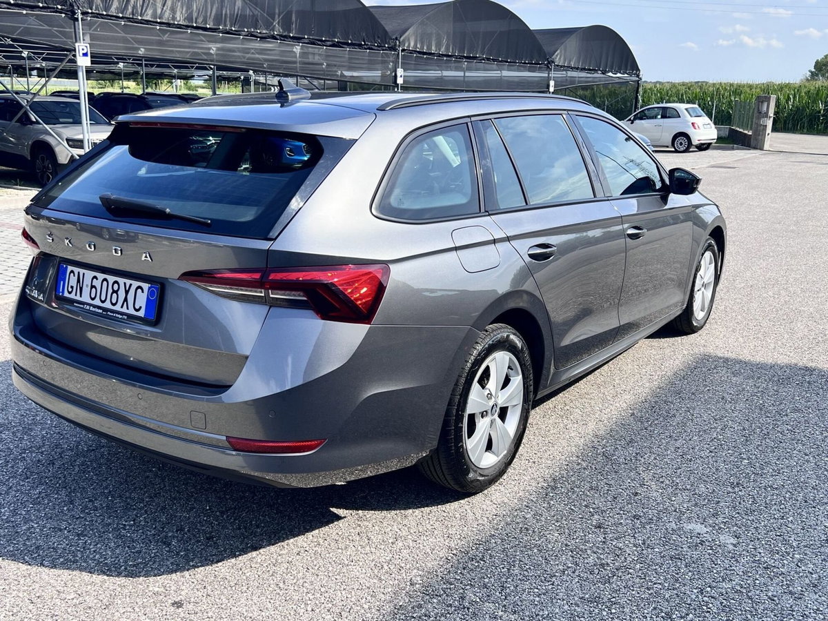 Skoda Octavia Station Wagon 2.0 TDI EVO SCR 150 CV DSG 4x4 Wagon Executive (3)