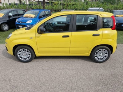 Fiat Pandina 1.0 firefly hybrid Pop s&s 65cv (2)