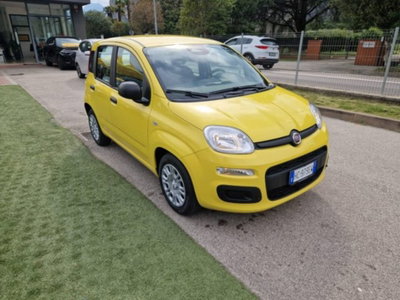 Fiat Pandina 1.0 firefly hybrid Pop s&s 65cv (7)