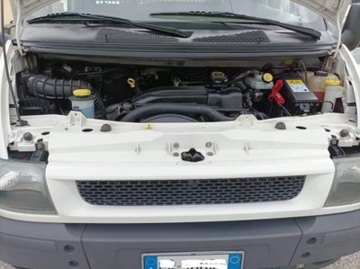 Ford Transit transit 350 tr.post. 2.0 tdci 170cv trend L4 Scattolini cassone fisso r.gem. (6)