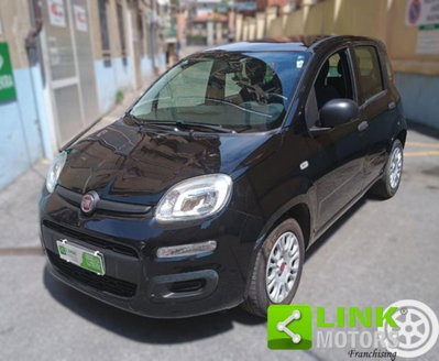 Fiat Panda 1.2 Easy usata