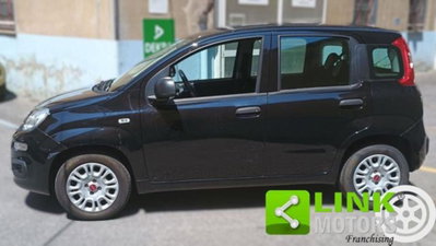 Fiat Panda 1.2 Easy (4)
