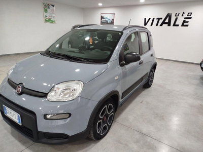 Fiat Panda Cross Cross 1.0 FireFly S&S Hybrid usata