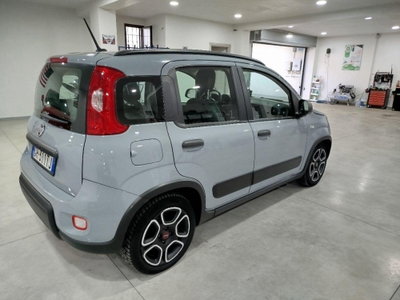 Fiat Panda Cross Cross 1.0 FireFly S&S Hybrid (5)