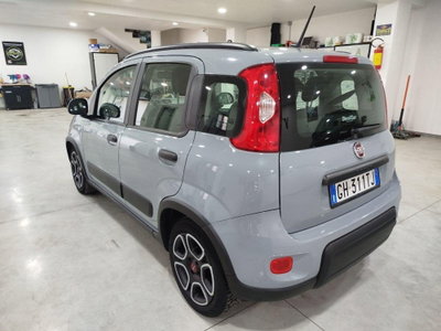 Fiat Panda Cross Cross 1.0 FireFly S&S Hybrid (7)