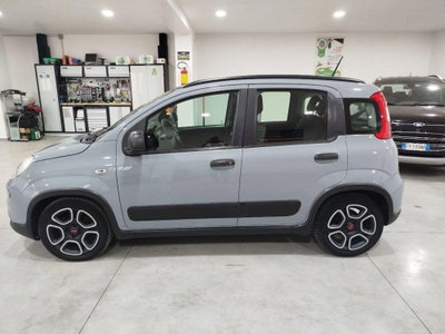 Fiat Panda Cross Cross 1.0 FireFly S&S Hybrid (8)