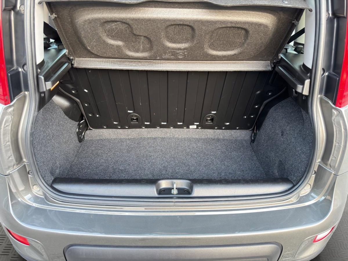 Fiat Panda 1.0 FireFly S&S Hybrid City Cross (10)