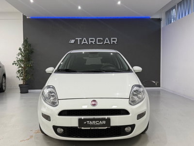 Fiat Punto 1.3 MJT II S&S 95 CV 5 porte Street (3)