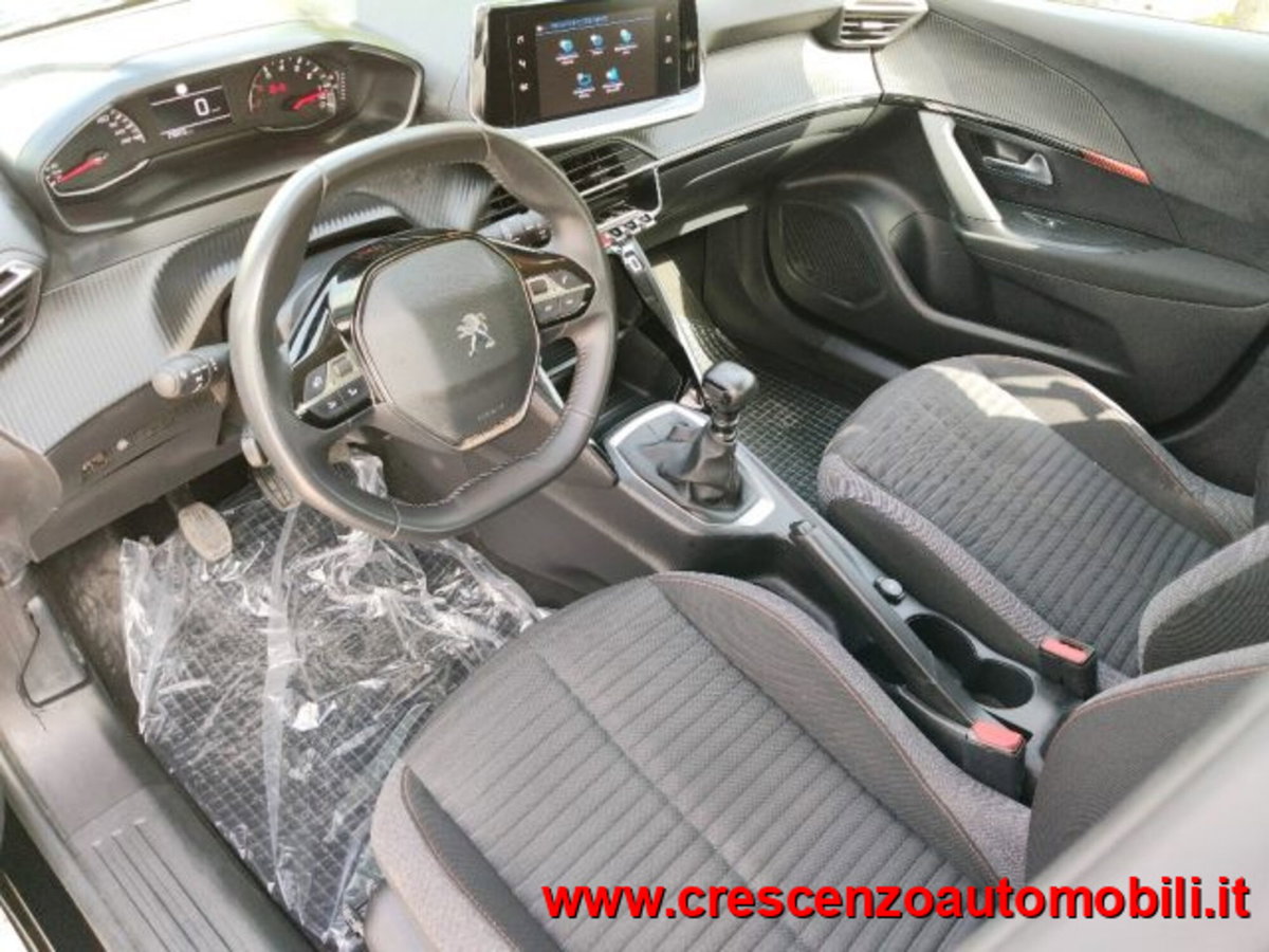 Peugeot 2008 BlueHDi 110 S&S GT (12)